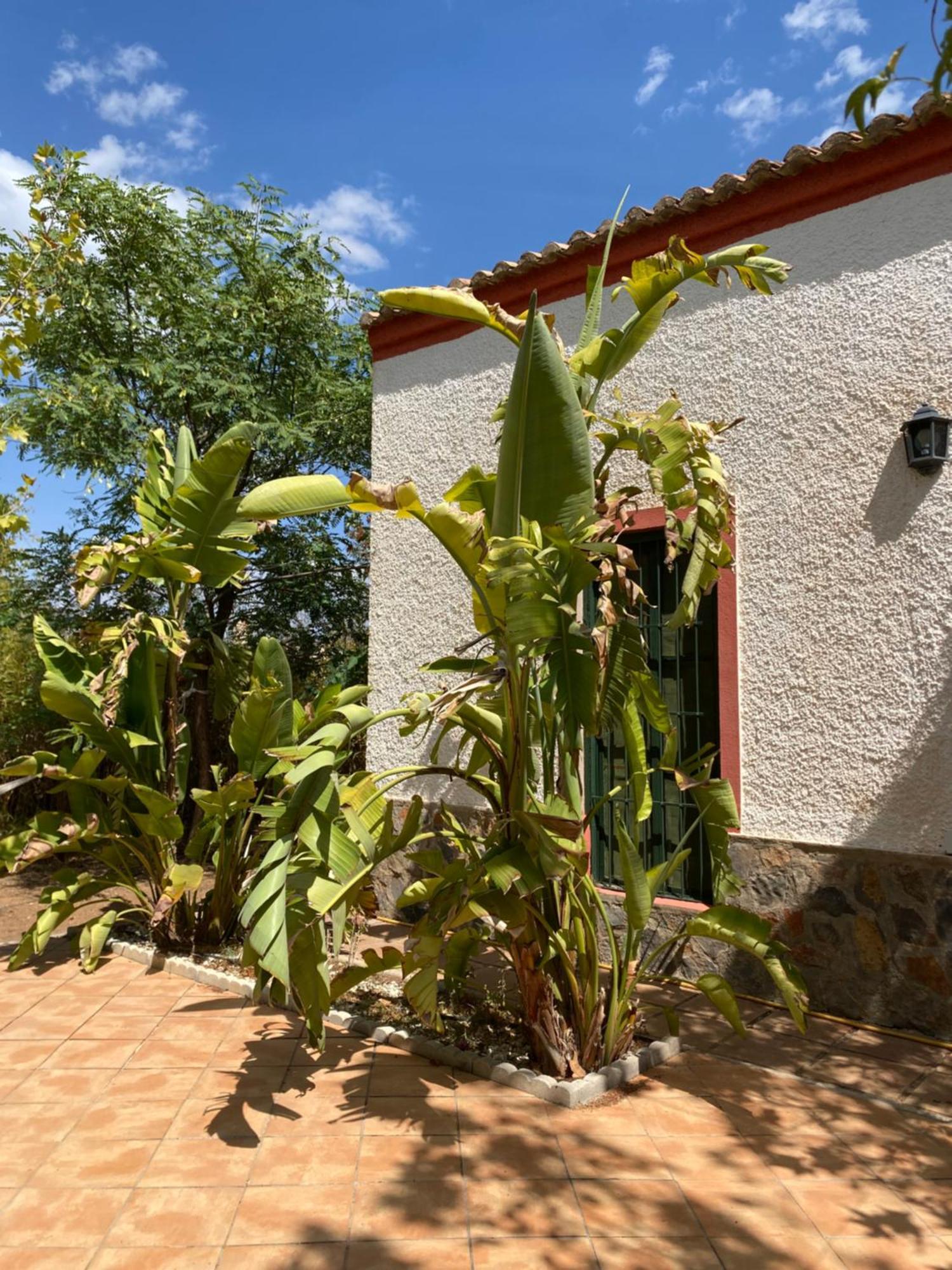Villa Real Fundicion De Alcora à Canjáyar Extérieur photo